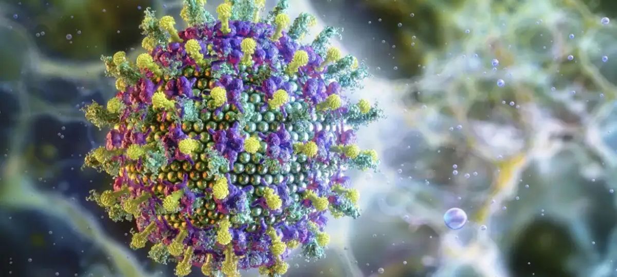 Animal acima de 1,80m é vetor do vírus Nipah Animal que ultrapassa 1,80m é o principal portador do Vírus Nipah